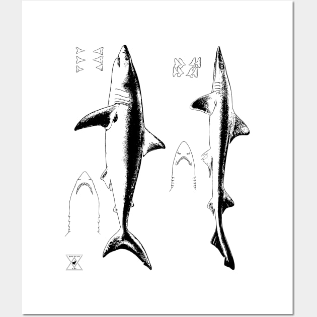 Great White Shark & Mako | Ocean Sea Animal Science Wall Art by encycloart